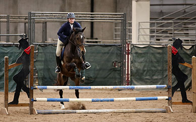 photo of a horse and rider jumping 