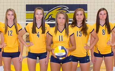 Volleyball Players standing in the LCCC Gymnasium