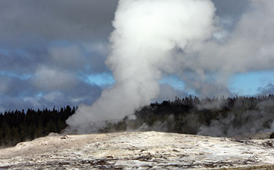 Old Faithful geyser erupts in Yellowstone National Park