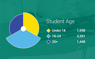 example graph from the annual report of students' ages