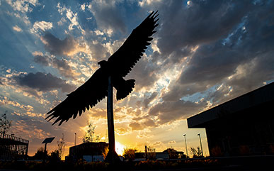 Eagle statue on campus with sunset