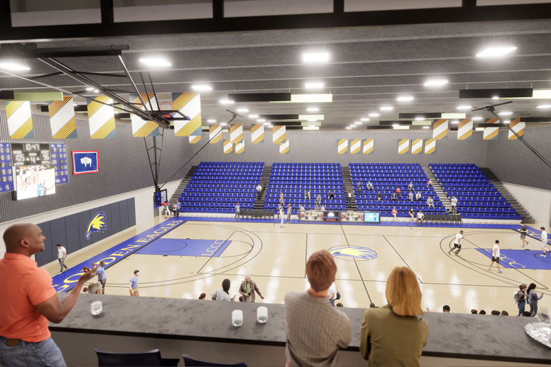 illustration of the competition gym from the Champion's Lounge