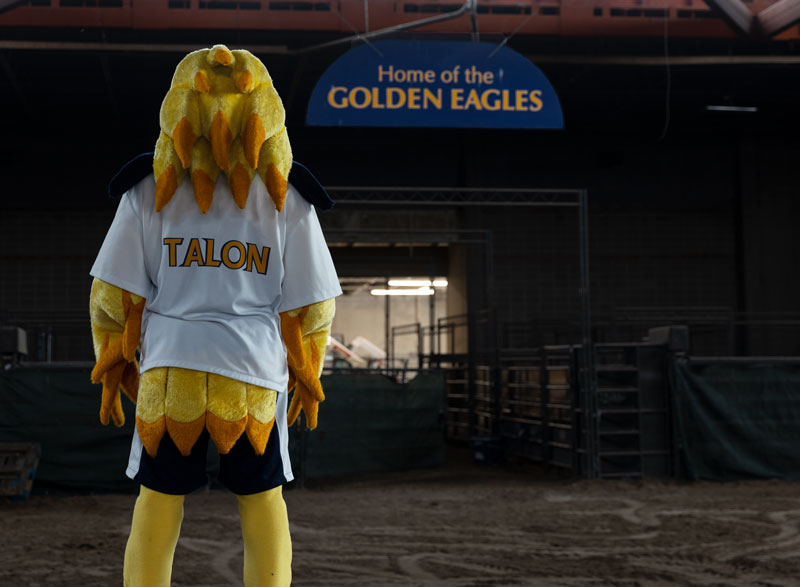 Photo of the mascot Talon standing in the Ag Arena