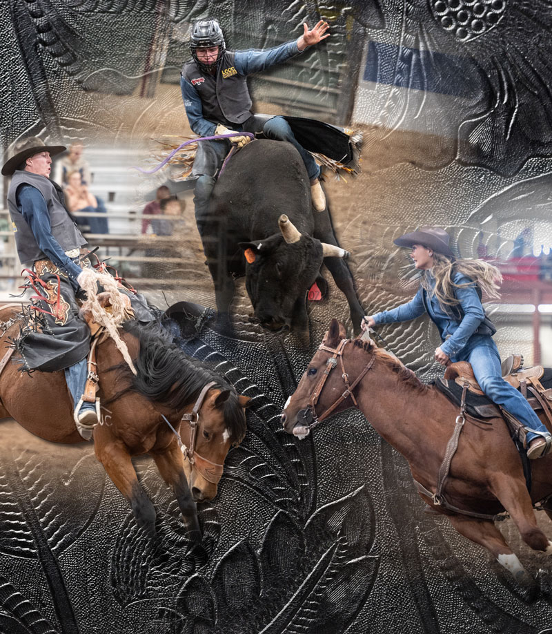 photo collage of LCCC rodeo students riding on a bull, a horse and bucking bronc with leatherwork in the background