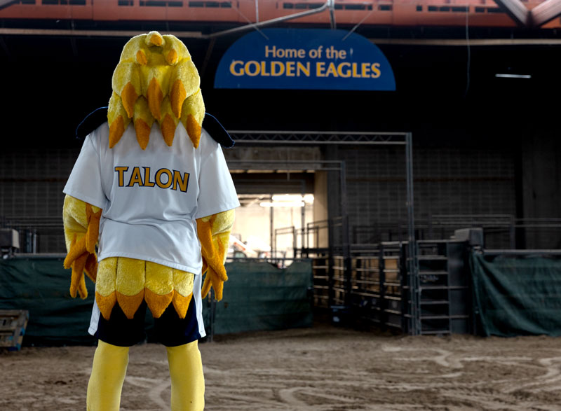 Talon the mascot in the arena with "home of the golden eagles" on a sign