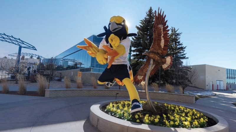 The Talon mascot is captured mid-jump above a circular flower bed filled with yellow flowers. The mascot has a black-and-yellow head with a beak, wears a white shirt, dark shorts, and athletic shoes, and extends both arms forward as if playfully posing. Behind the mascot, there is a tall decorative statue of an eagle with its wings spread. The setting is an outdoor plaza with paved walkways, ornamental grasses, trees, and modern buildings with glass and neutral-colored walls under a clear blue sky.