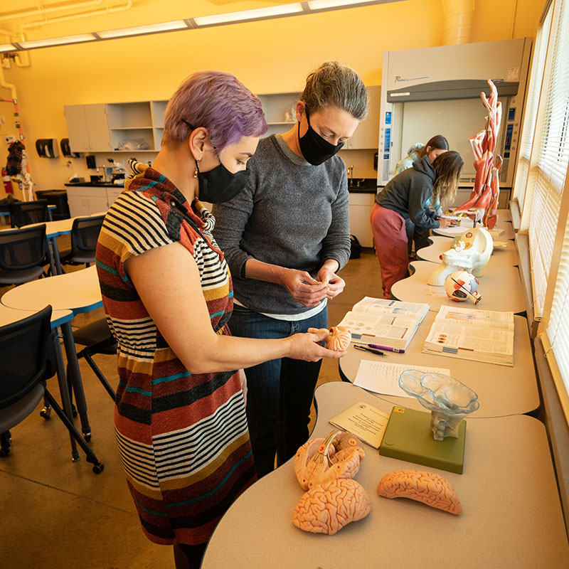 photo of faculty and students in a science classroom looking at model body parts.