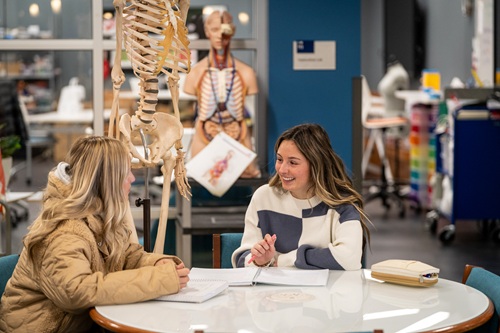 Students studying in the Library