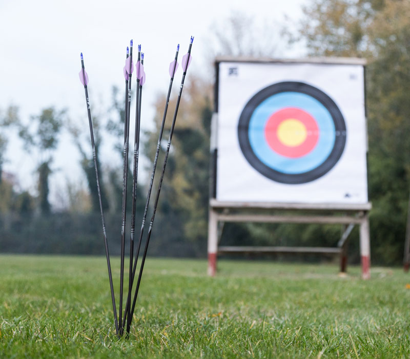 arrows stuck in the ground in front of a target for archery