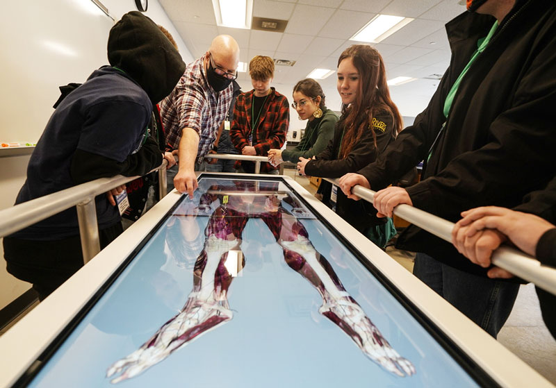 Photo of several students and a faculty member gathered around a cadaver table showing a digital image of a human body with the muscle layer.