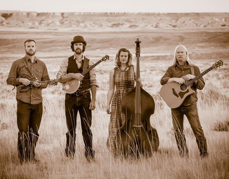 photo of the Low Water String Band