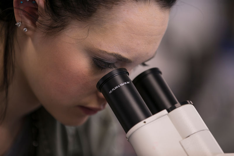 photo of a student looking into a microscope