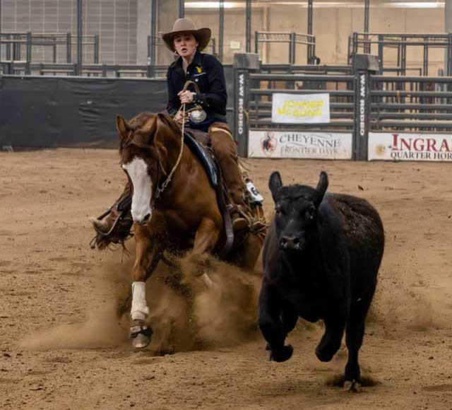 student on a horse riding after a cow in dirt in an arena
