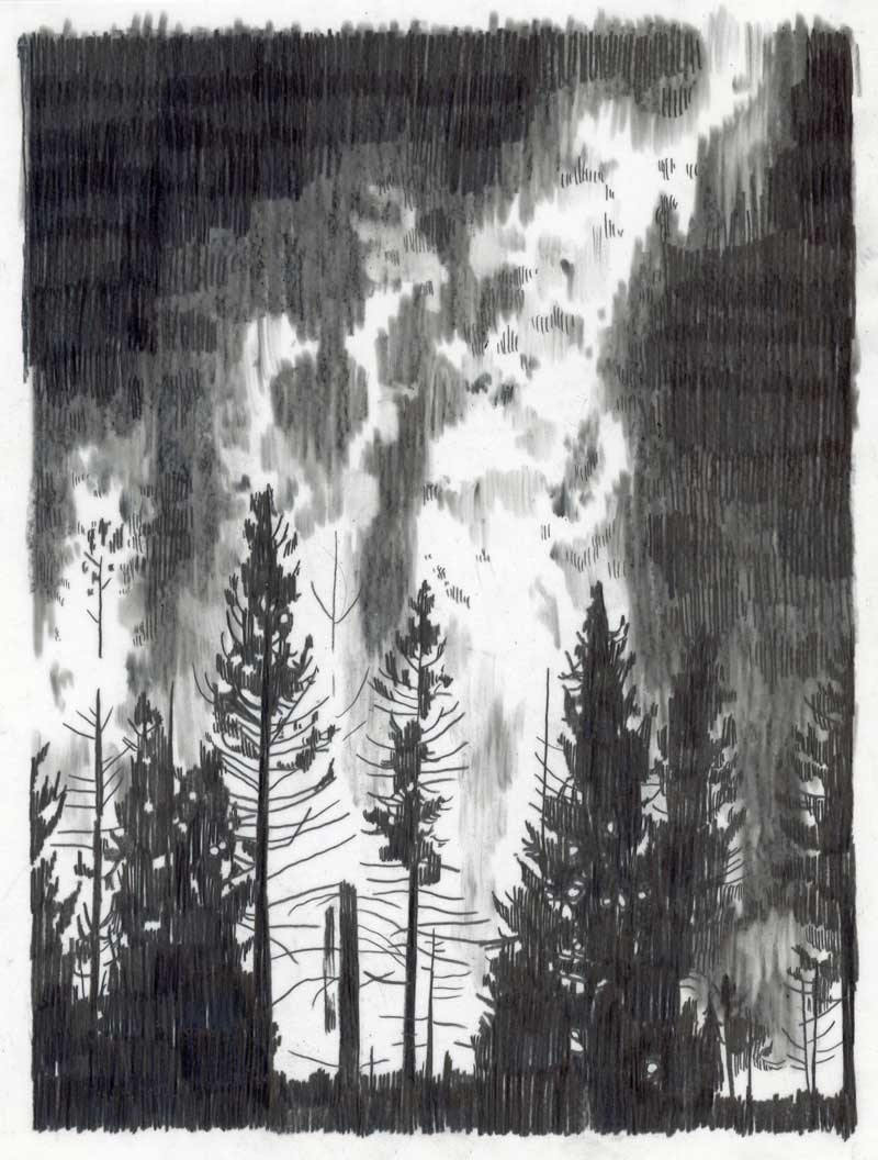black and white art piece by Laura Grossett of a forest with fire behind the trees