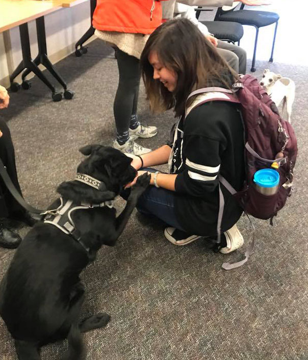 Student with a therapy dog on campus. Dog has its paw on the students hand.