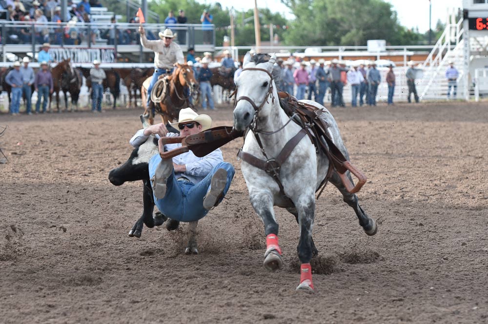LCCC Rodeo Coack Beau Clark steer wrestling at Cheyenne Frontier Days