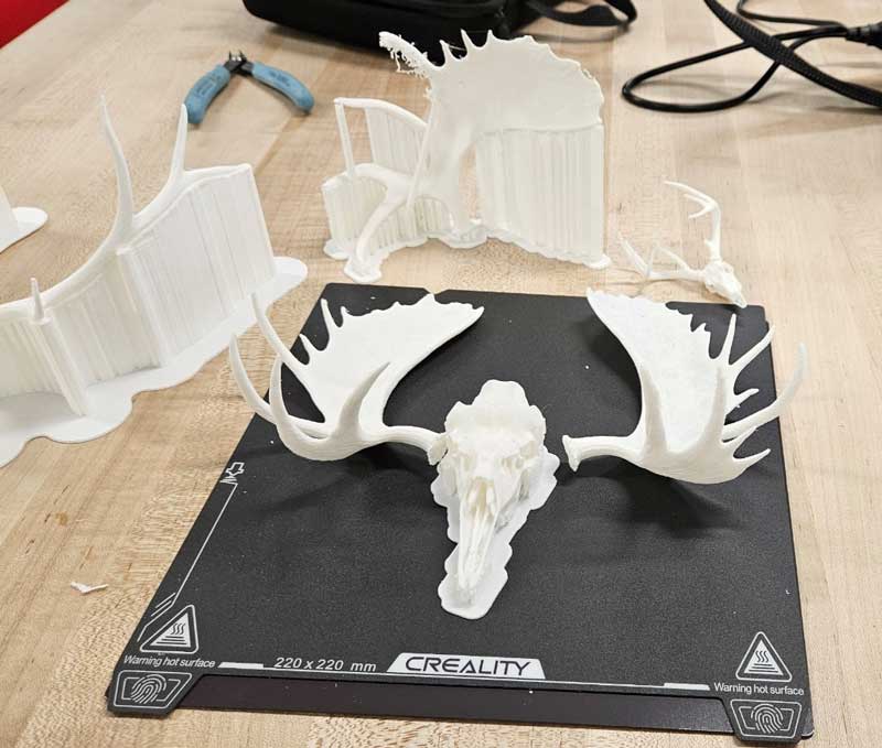 3D printed antlers and skull